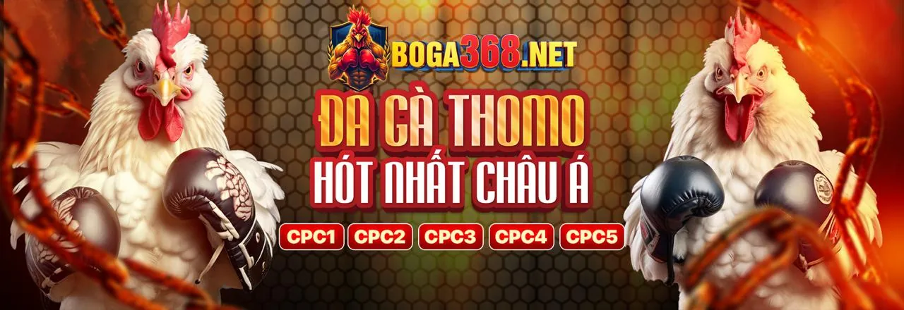 Đá Gà Trực Tuyến VA88 Login 2026
