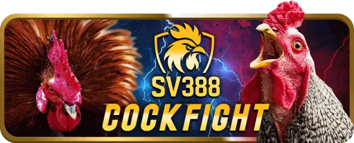 Cấp độ VIP Bạch Kim tại VA88 Login